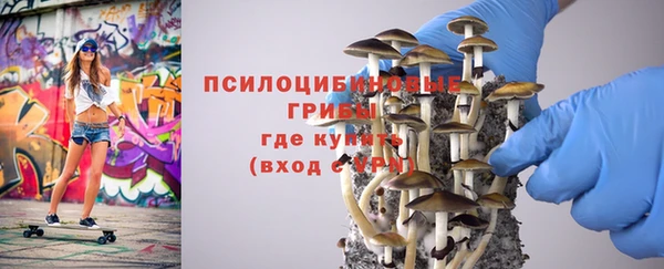 мяу мяу мука Михайловск