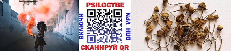Псилоцибиновые грибы мухоморы  Дербент 