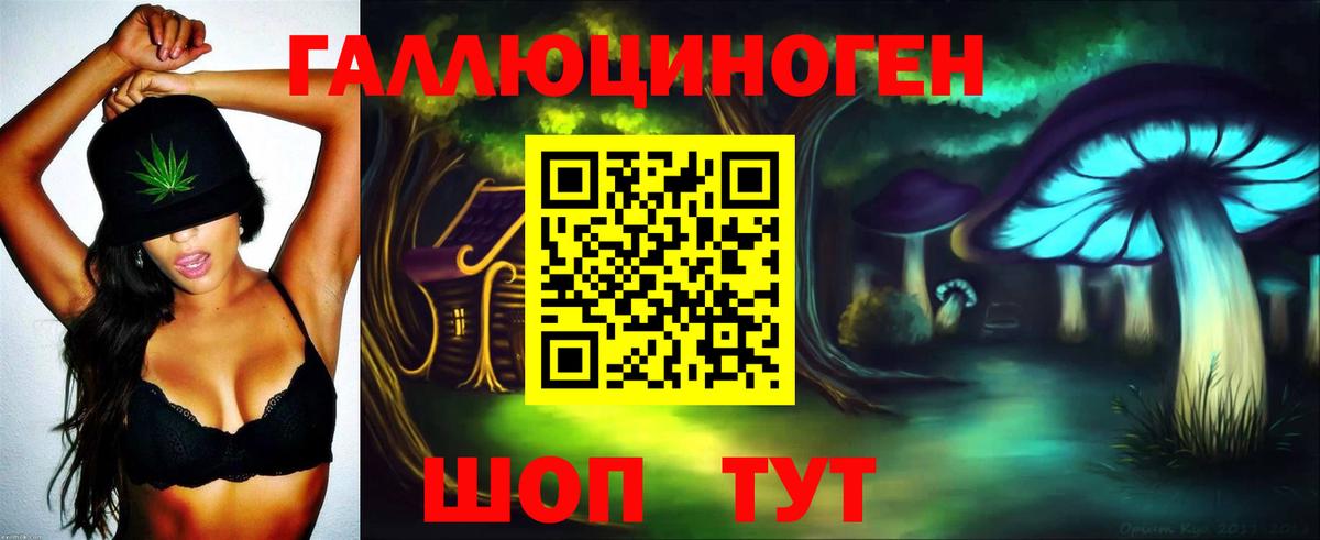 Дербент  Псилоцибиновые грибы MAGIC MUSHROOMS  Псилоцибиновые грибы Psilocybine cubensis  Вход с VPN 