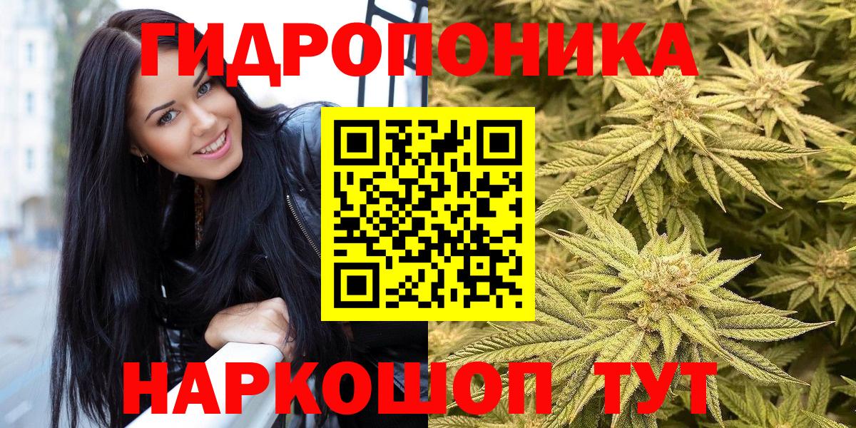 Бошки марихуана планчик Дербент